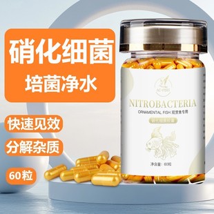 �~�����������z��ˮ�����^�p�~����ˮ�|����Bˮ���Bϵ�y���w��ĩ