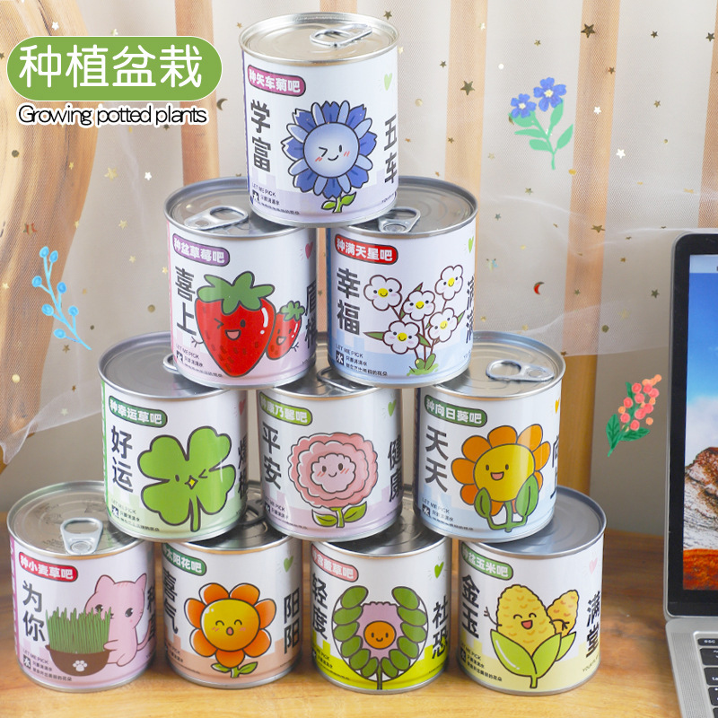 Children's Cans to Plant Small Potted Plants Indoor Desktop Mini Green Plants Easy to Raise Students to Observe Interesting Gifts