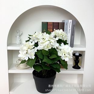 ���ֵ�����辰����ٻ��o�M������ֲ��Ҿ��҃��̨�[�������^�p