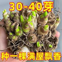 �ذ�������N������ʹ����������ͥԺ�������Զ�����ҹ����