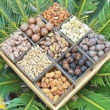 ��С�ߺ����ʱ̸��������������Ĺ����b�Թ���؛�������e׷����ʳ