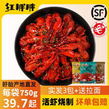 红胖胖盱眙十三香麻辣蒜泥小龙虾加热即食熟食整虾750g4-6钱*3袋