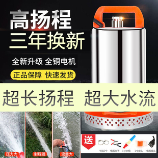 Dc Submersible Pump Battery 12V24V48V60 Volt Electric Vehicle Household Small Water Pump Agricultural Irrigation Pumping