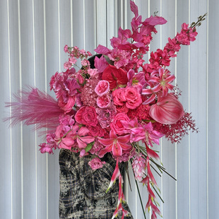 õɫϵ滨cû鷿bСŻõ彑mٻ