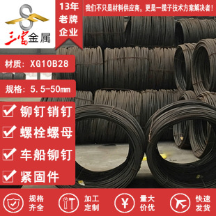 ���� XG10B28 ���� ��܇�l�әC��˨����10.9����͸�Ժþ��ıP�l