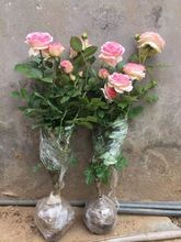 �ļ��_���Nޱ�����ٱ��¼�����ֲ��ͥԺ������̨õ�廨������