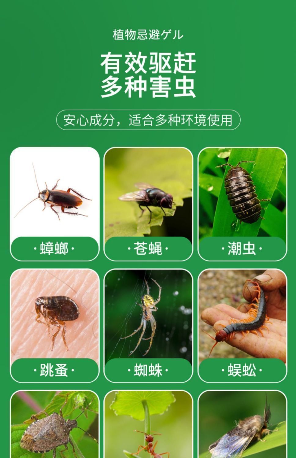 3e6eb19d-7c61-4ef3-bd82-607b9673249a.jpe