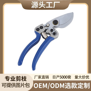 �¿���䌣�ü����@�ֹ��߸ߏ���̼䓵��^��֦�����޼����S�����l