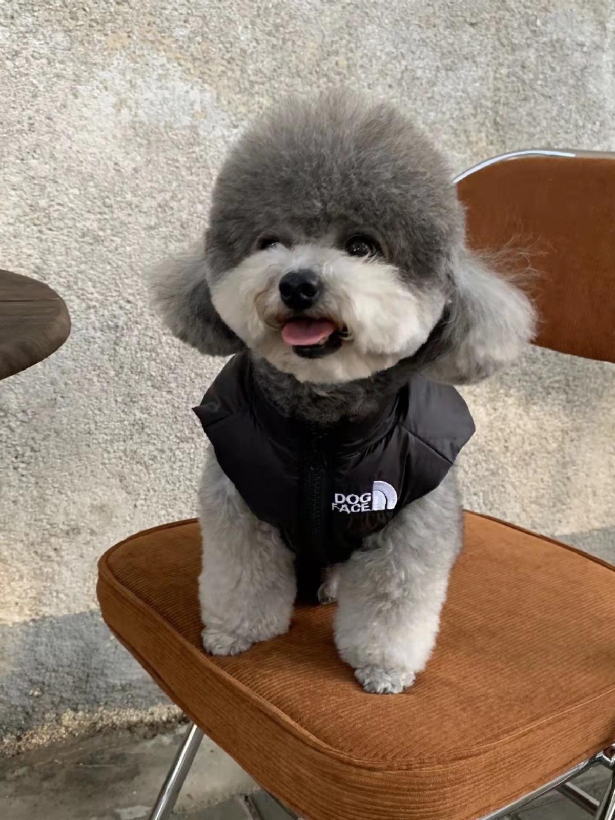 HG 작은 개 개 옷 가을과 겨울 따뜻한 애완 동물 다운 재킷 조끼 방법 개 테디 옷 겨울