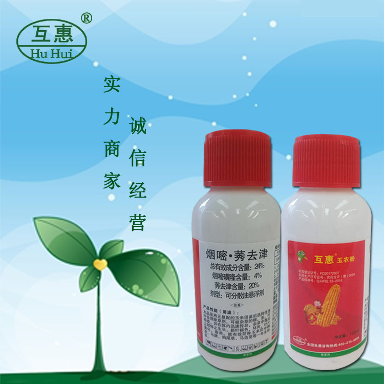 农药 4%烟嘧磺隆+20%莠去津 玉米苞米地苗后除草剂 100ml