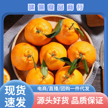 �Ĵ���֪����ٸ��ٳ�˹�����������]����ˮ������һ�����l��