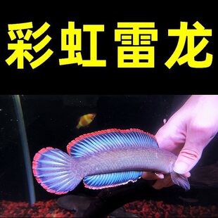 �^�p�~�ʺ������~���B��ˮ�~��ˮ�~���ͱ����¼t�����������~