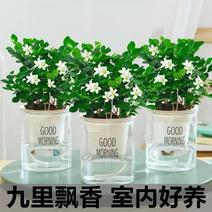 ���������ԝ����ļ��_���҃Ȼ���ֲ�������㎧����ǧ���ۺ��B�Gֲ