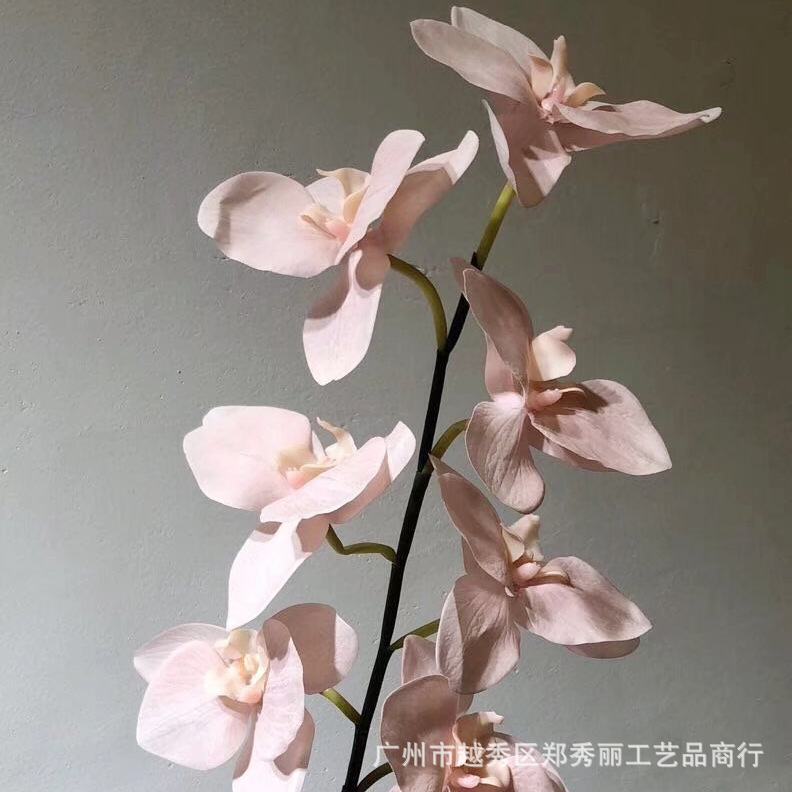 복숭아