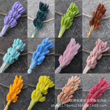 ��ʯ��50֧�ɻ�������Ȼ�滨DIY�Ҿ�װ�ο���װ�β廨��Ӱ����