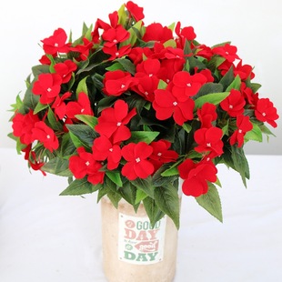 ����ֲ��С�黨 �Ҿ��b� ���⹤�̼ٻ� ������N�� �P�ɻ�