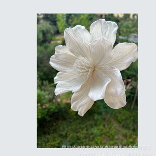 ͨ�ݸɻ���ٺϴ�ĵ���r�мҾӻ�c���ò廨�Ĕz������޹�U��