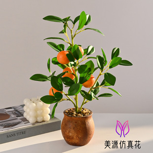 ����ˮ�����ԏS��ֱ�����滨�҃Ȕ[���҃ȼҾ��b�Ʒ����Gֲ�辰