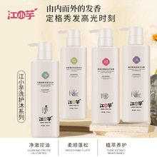 江小芋头皮洁净蓬松洗发水清爽控油改善毛躁香氛洗护套装厂家批发