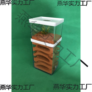 ΛρΛρ�Ǳ�ΛρΛρ�Ǳ������p��ρ��ρ��Λρ�����ݳ�Ѩ