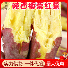 本物の陝西省栗サツマイモ 4.5kg フルボックス新鮮なサツマイモ 10 卸売送料無料 5 農家砂サツマイモ焼きサツマイモ