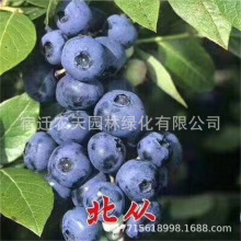 _±{ݮmԹm{÷m{ݮmļϱNֲԭ