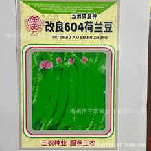 Ƹ604m𶹲ˈ@Nֲ߮aļ߲˷NяSl