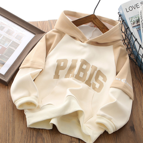 Children's Hooded Sweatshirt  Autumn/Winter New Color-blocked Sweatshirt Boys' Sport Top Long Sleeve Letter Hoodie