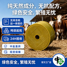 中盐集团出品现货供应饲料级舔块 盐砖 繁殖型盐 牛羊舔砖矿物质
