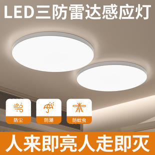 Ultra-Thin Three-Proof Induction Ceiling Lamp Stair Aisle Corridor Lamp Infrared Human Body Radar Induction Lamp Intelligent Voice-Controlled Lamp