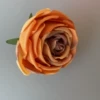 Gray orange