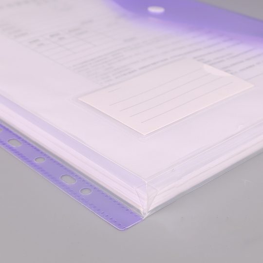 Cross-Border Hot-Selling Vertical Data Storage File Bag A4 11-Hole Loose-Leaf File Bag Pp Snap Plastic File Bag