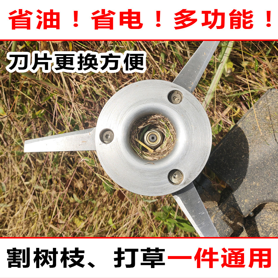轮播图02.jpg