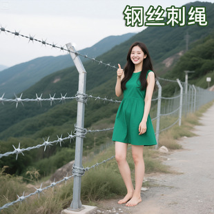 Thorn Rope, Anti-Climbing, Anti-Theft, Hot-Dip Galvanized Double-Stranded Thorn Rope Ring, Ground Thorn Fence, Wall-Climbing Net, Stainless Steel Thorn Rope Thorn Wire