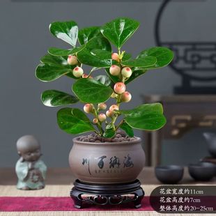 С����������Ԏ����l؛�҃ȾGֲ���ܿ͏d�k����������ؔ�[��ֲ��
