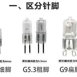 S228G4灯珠水晶灯吊灯灯泡10w20w35w小灯珠低压插泡灯高亮两脚小