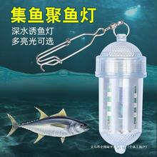 大功率LED深水诱鱼灯水下诱鱼灯聚鱼灯集鱼灯鱼笼虾笼灯冰钓灯