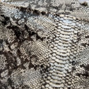 Ұ�����Ļ��y  �r���ﶬë�q��������