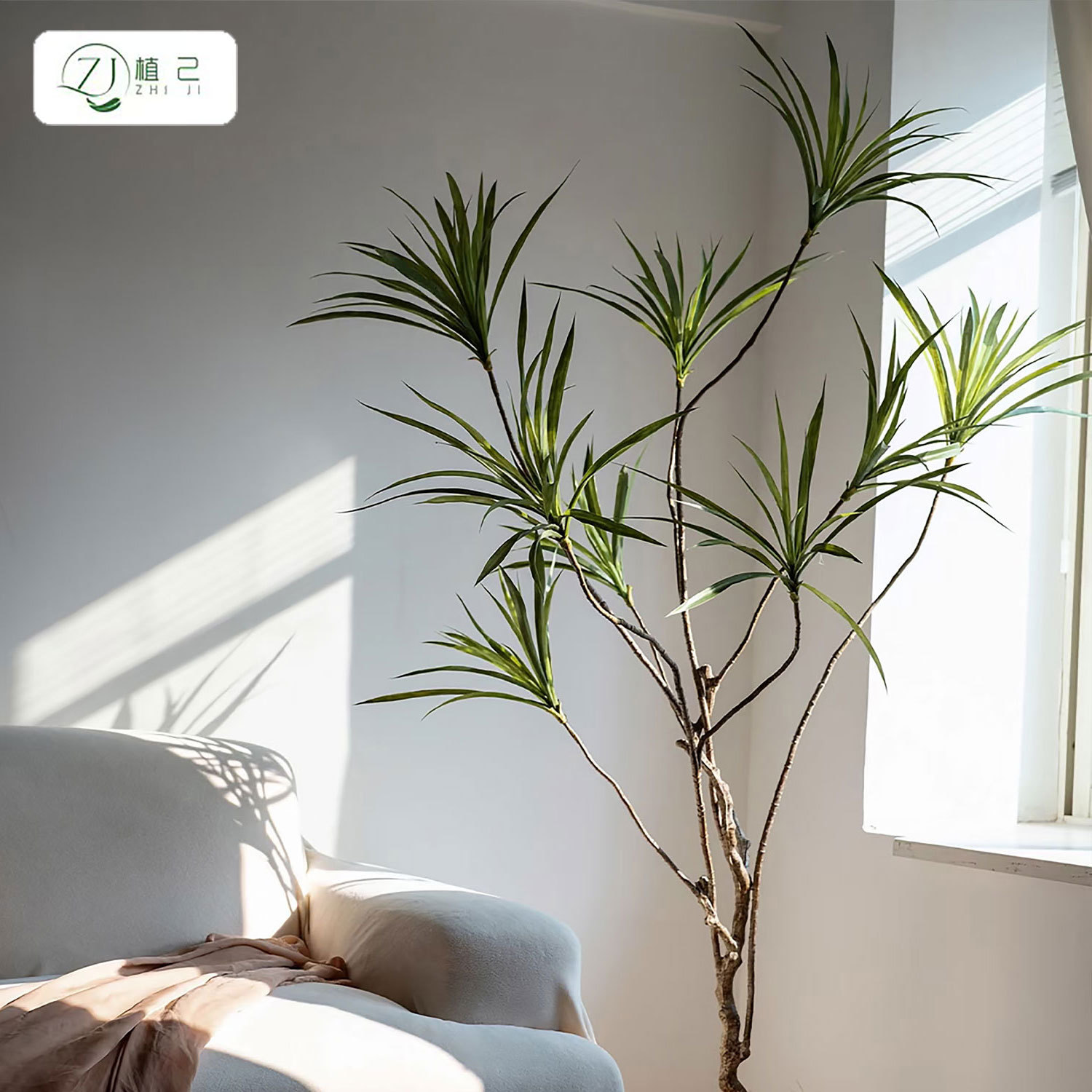 Simulación de viento pastoral plantación verde orquídea colgante decoración interior ventana paisajismo decoración planta en maceta orquídea colgante