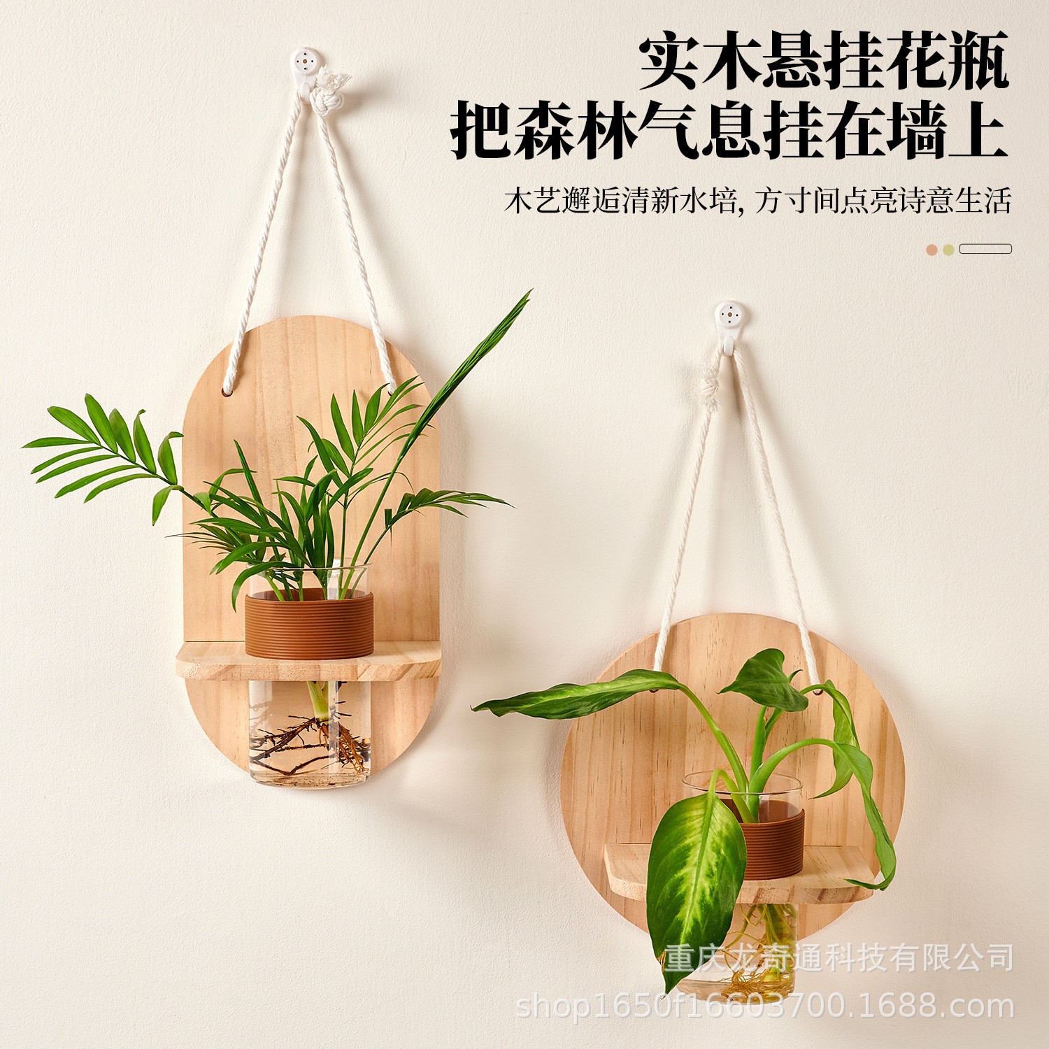 创意悬挂麻绳水培挂件室内花架客厅壁挂水培绿萝植物花架简约挂饰