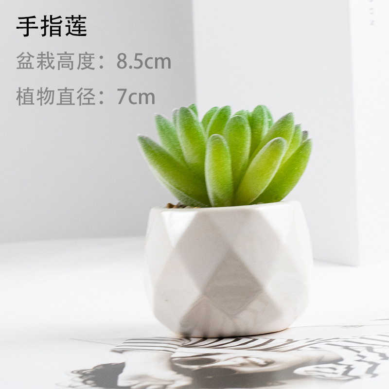 핑거 로터스 + 세라믹 세면대