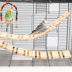 牡丹のインコの花椒の木のおもちゃのはしごははしごを登ります。