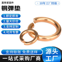 金屬彈簧平墊圈銅彈墊片磷銅開口型彈墊黃銅彈介子片銅彈墊現貨