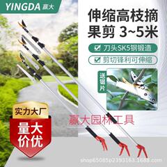 大高所伸縮摘果カットSK5高枝摘果器摘実ライチ