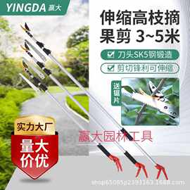 赢大高空伸缩摘果剪SK5高枝剪摘果器摘荔枝龙眼石榴柿子摘果剪