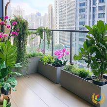 ?Sֱ˲lˮ໨軨NֲͥԺLش̖ܾGֲV