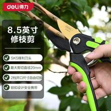 ������֦�����@�ֻ�ˇ�޼���֦������������ִ󻨼�@ˇ���ӹ���