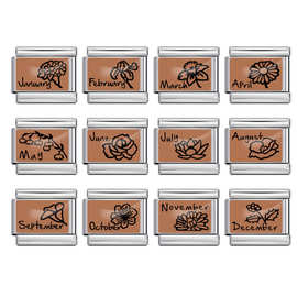 12月份花卉系列意大利模块手链 图片打印钛钢DIY弹力手环配件