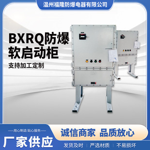 BXRQ explosion-proof soft start cabinet, frequency conversion cabinet, PLC explosion-proof electric control, BXQ explosion-proof electromagnetic, explosion-proof lighting power distribution