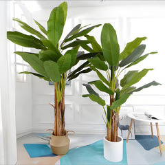 亞馬遜熱銷仿真芭蕉樹大型室內造景仿真綠植室內盆栽假樹仿真植物